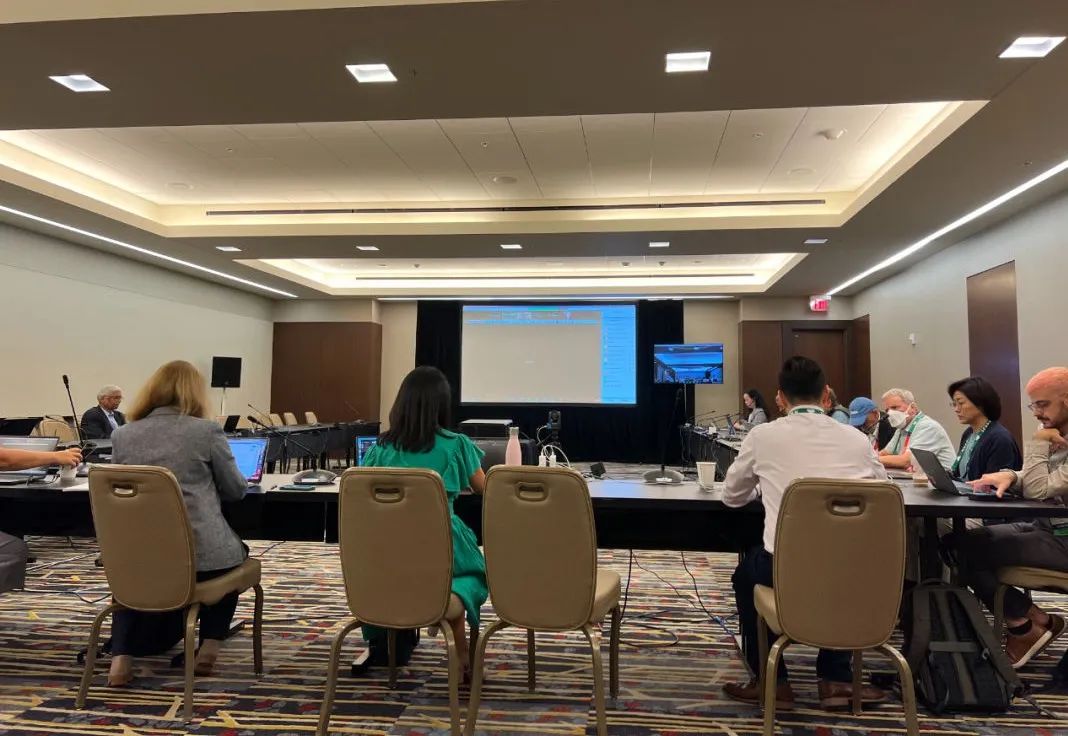 1688631867231462.jpg 33333.jpg