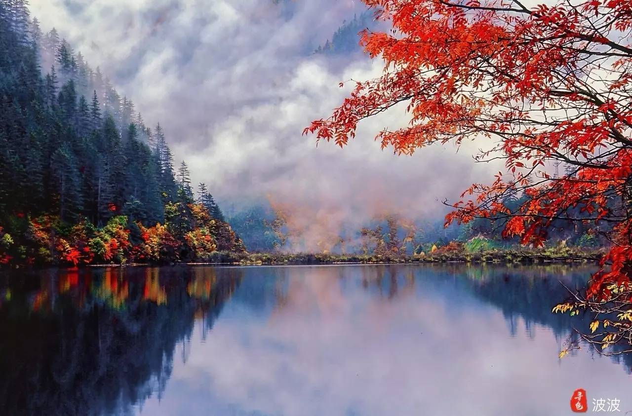 1698047937987563.jpeg b78af5cad0f963b97052f1f67ff55845.jpeg