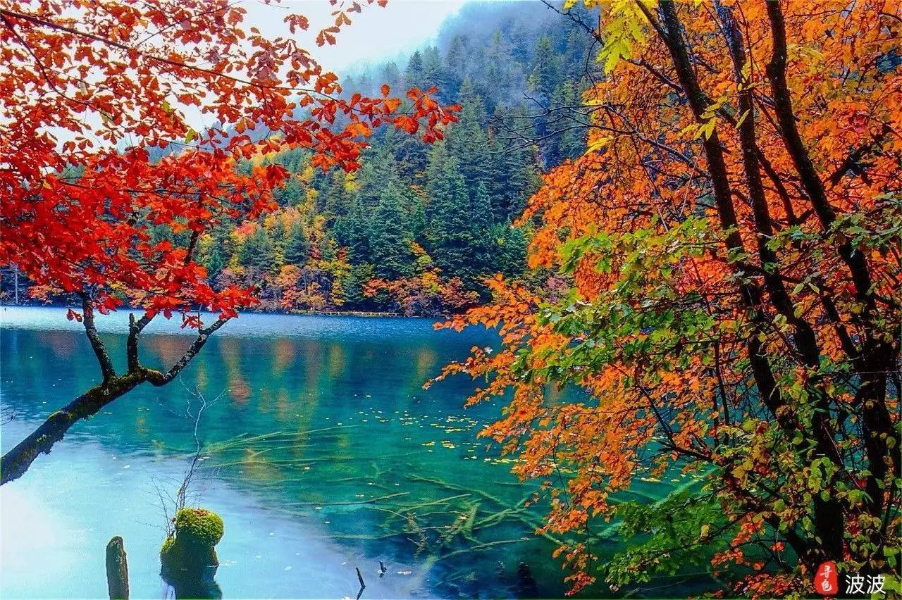 1698048083805662.jpeg b0833200023cf305efd091ab1c5c1910.jpeg