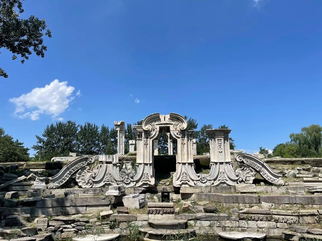 1735610808212648.jpeg e0e23d21fb29215bb0e59dab6a3f367f.jpeg