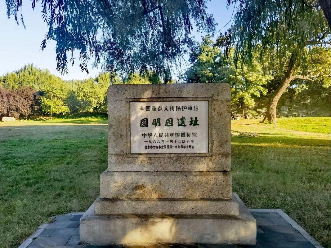 1735610916300965.jpeg 130149b2cf079ccb534a187f4cf8e49e.jpeg